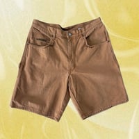 BIG SMITH ダックペインターショーツ
