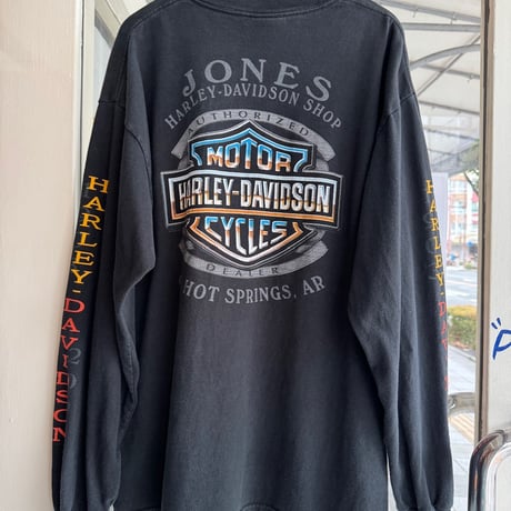 USA製HARLEY DAVIDSON 袖プリントロンT  L〝100 YEARS〟