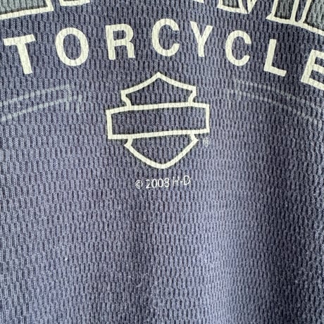 USA製 HARLEY DAVIDSON サーマルロンT