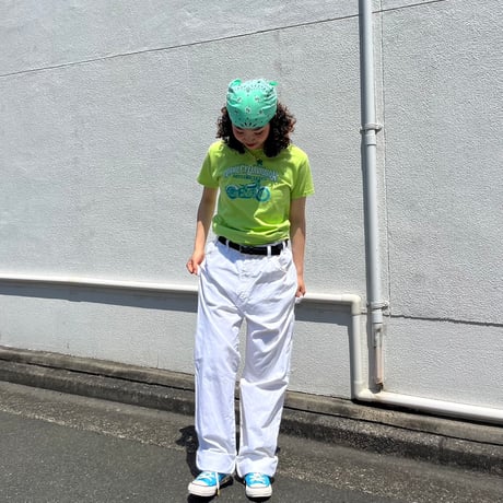 Dickies ペインターパンツ　34✖️34