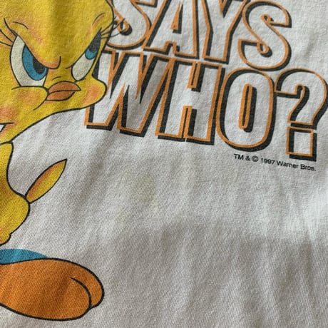 USA製トゥイーティーTシャツ