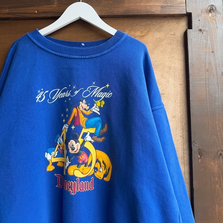 Disney 45周年 両面プリントスウェット