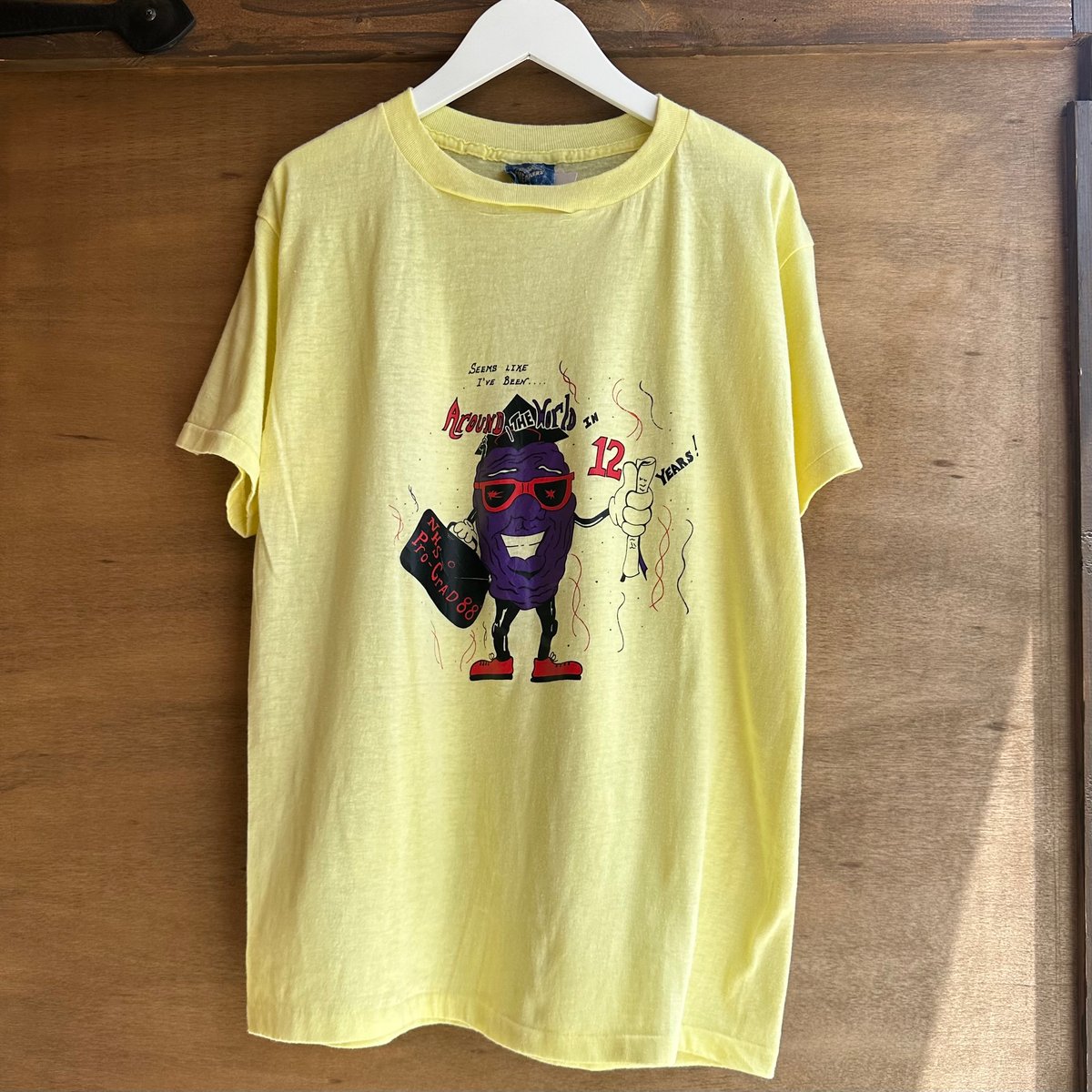 USA製 カリフォルニアレーズンTシャツ | CUSTOM FEVER