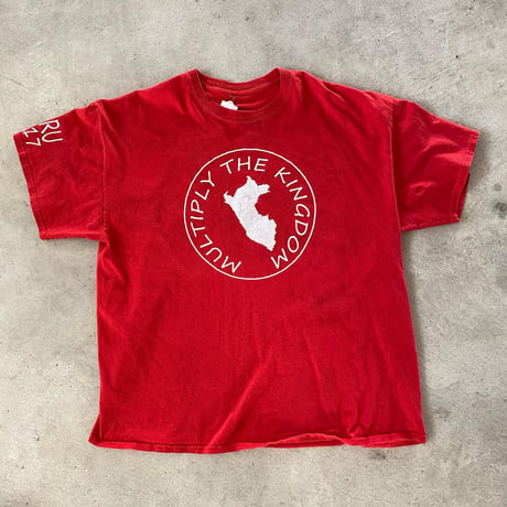 2017ペループリントTシャツ