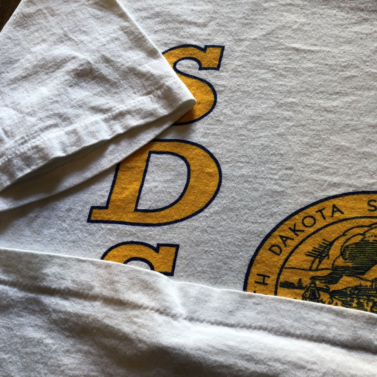 チャンピオン　Ｔシャツ　染込プリント 2025年最新】champion チャンピオン 染み込みプリントの人気