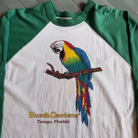 シングルステッチ ラグラン七部袖Tシャツ