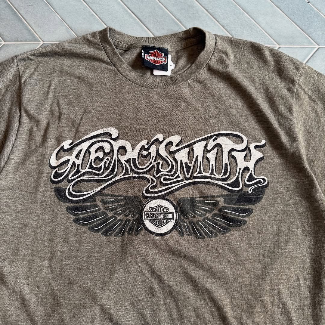 エアロスミス　Tシャツ 楽天市場】【中古】Hanes AEROSMITH エアロスミス ROCKS クルー