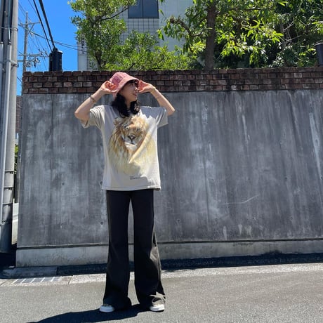 USA製ライオンTシャツ