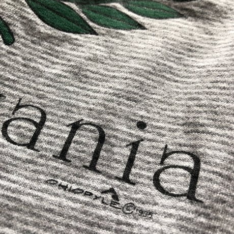 〜90年代TENESSEE RIVERカレッジボーダーTシャツ