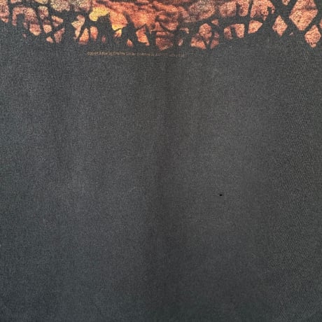 ALICE IN CHAINS〝DIRT〟プリントTシャツ