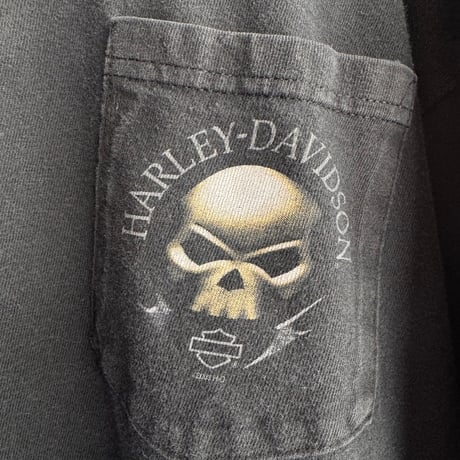 USA製 HARLEY DAVIDSON 袖プリントロンT L