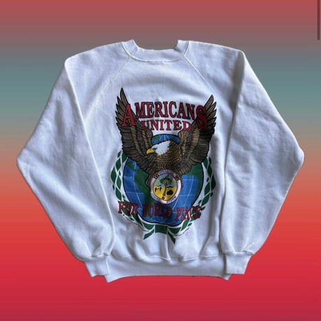 90s USA製 DESERT STORM ラグランスウェット