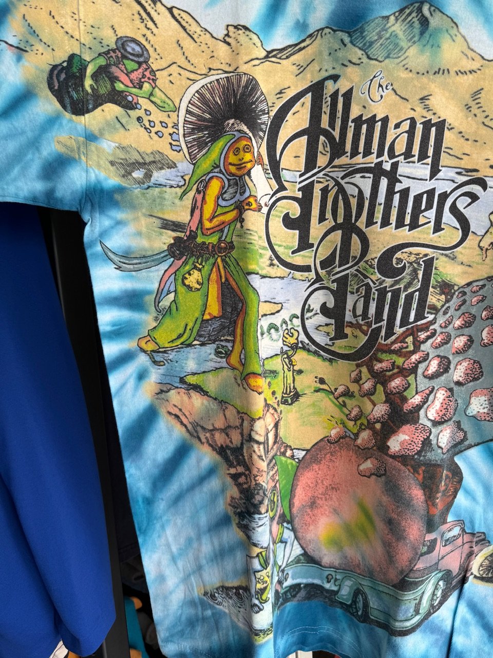 Allman Brothers BandタイダイTシャツ 90's The Allman Brothers BandタイダイTシャツ | CUSTOM