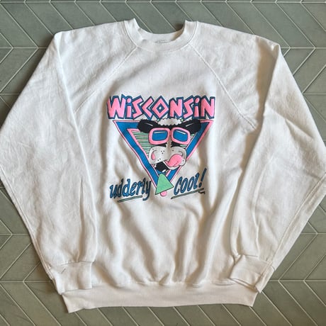 80〜90 USA製 ラグラン牛さんスウェット