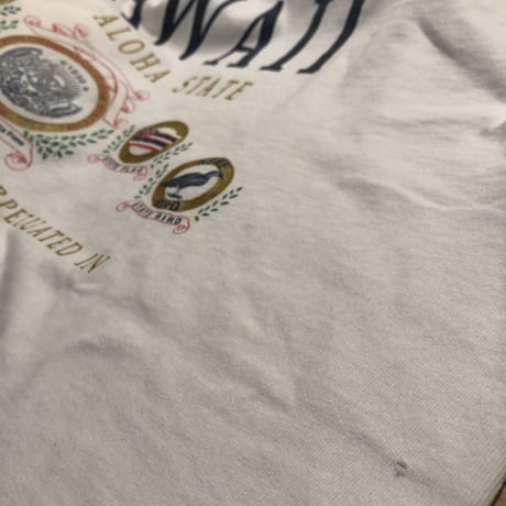 USA製 HAWAIIプリントTシャツ