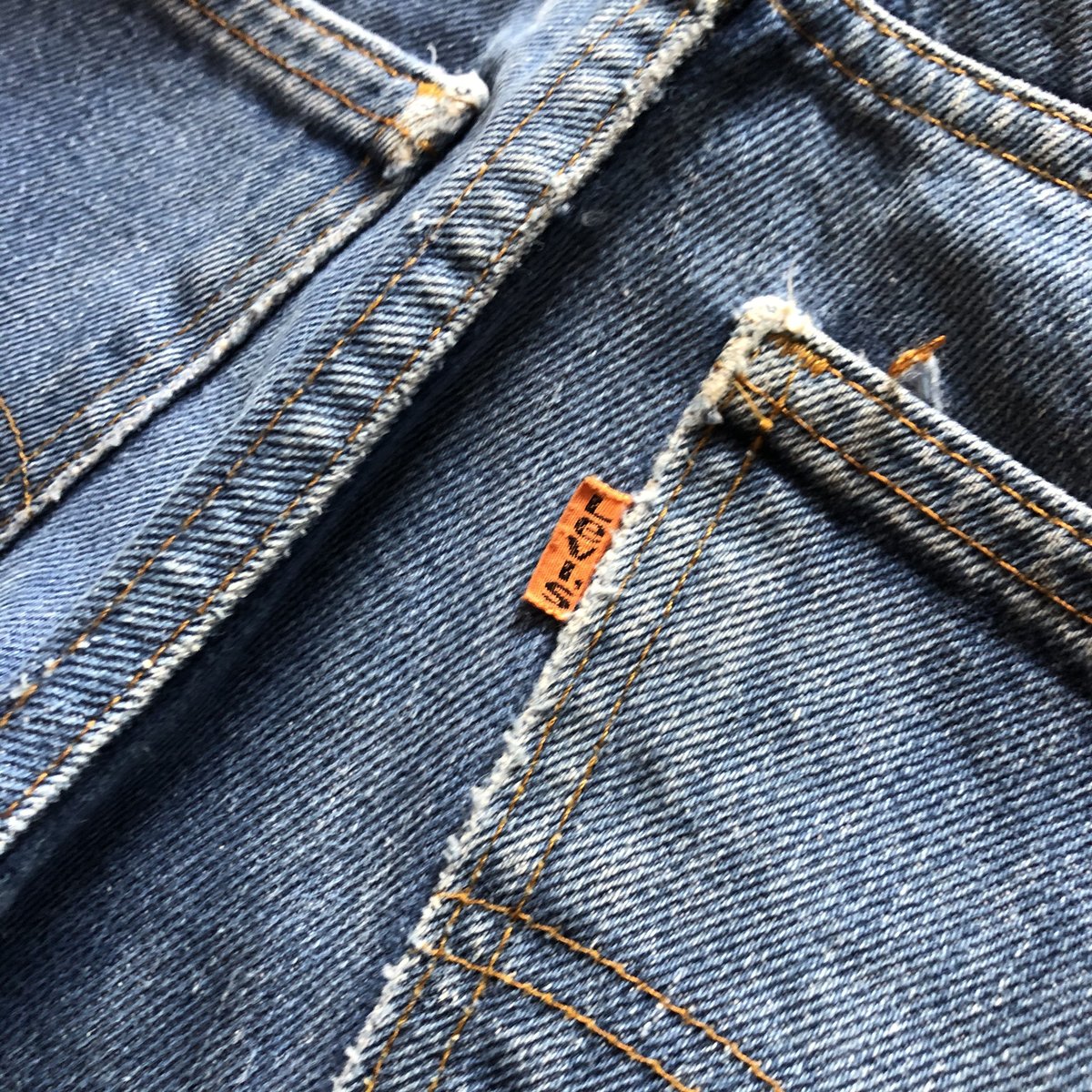 Levi