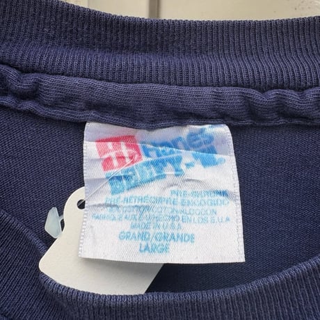 USA製 Hanes イグアナTシャツ