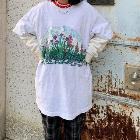 USA製マシューズ風景Tシャツ