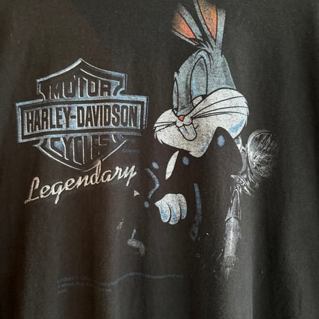 USA製HARLEY DAVIDSON × LOONEY TUNES