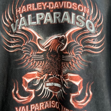 HARLEY DAVIDSON 袖プリントロンT  L