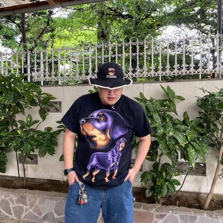 USA製 90s Made AL The Beach アニマルTシャツ