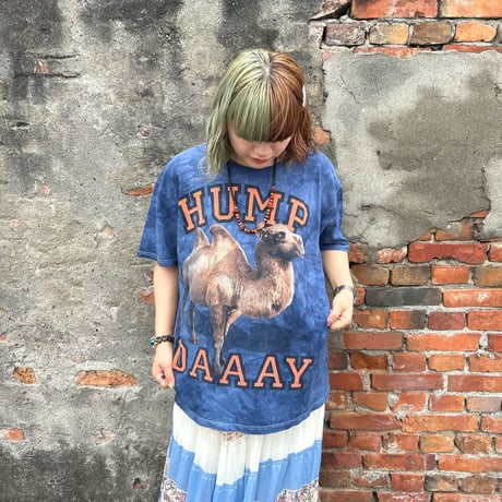 THE MOUNTAIN  ラクダ  タイダイTシャツ