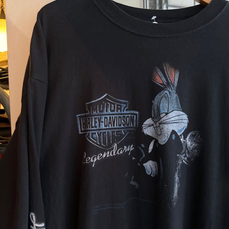 USA製HARLEY DAVIDSON × LOONEY TUNES
