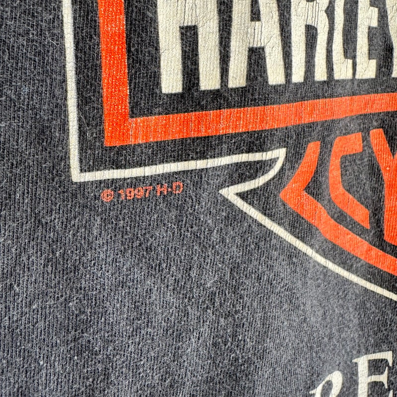 90's USA製 HARLEY DAVIDSON プリントTシャツ L | CUSTOM F