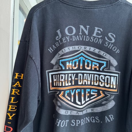 USA製HARLEY DAVIDSON 袖プリントロンT  L〝100 YEARS〟