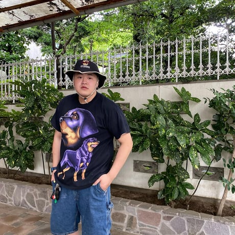USA製 90s Made AL The Beach アニマルTシャツ