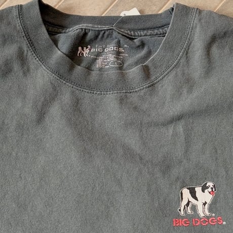 BIG DOGS×コロナビール Tシャツ