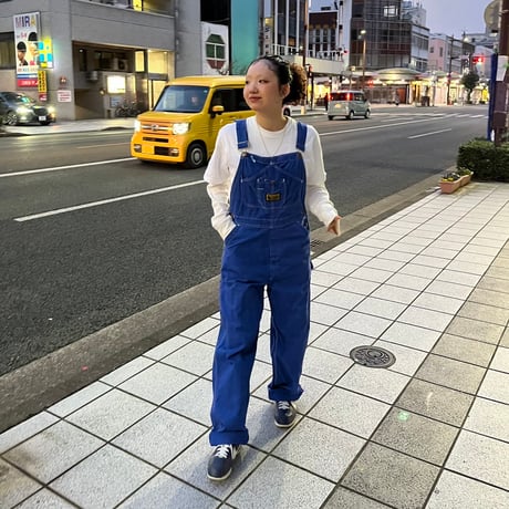 WASHINGTON DEE CEE　オーバーオール