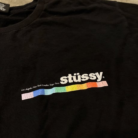 STUSSYワンポイントTシャツ