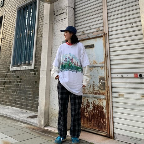 USA製マシューズ風景Tシャツ