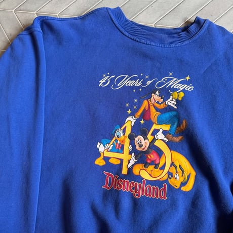 Disney 45周年 両面プリントスウェット