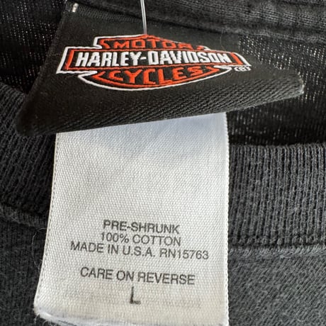 USA製HARLEY DAVIDSON 袖プリントロンT  L〝100 YEARS〟