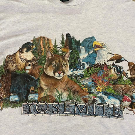 USA製ヨセミテ国立公園両面Tシャツ