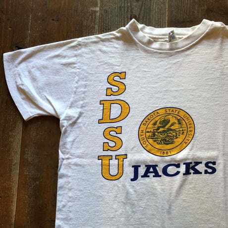 〜80年代チャンピオン染み込みプリントTシャツ　L