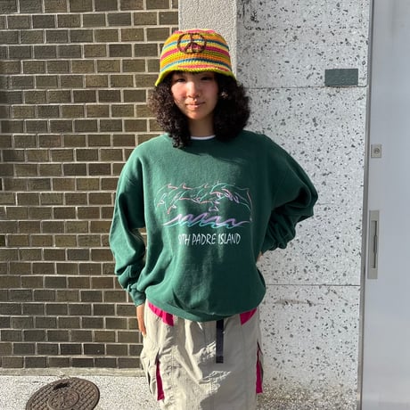 USA製　Lee イルカプリントスウェット