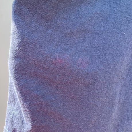 トゥイーティー　プリントTシャツ