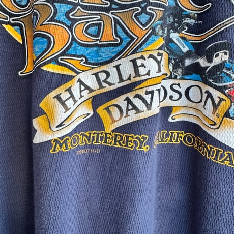 USA製 HARLEY DAVIDSON サーマルロンT