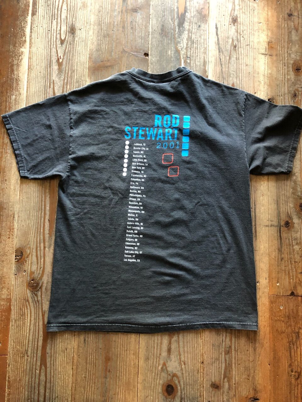 ROD STEWART 2001 tour tシャツ | CUSTOM FEVER ROD STEWART 2001 tour tシャツ | CUSTOM FEVER