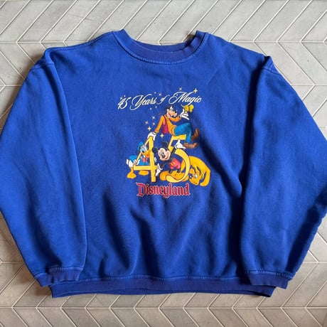 Disney 45周年 両面プリントスウェット