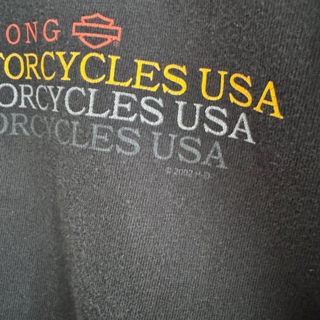 USA製HARLEY DAVIDSON 袖プリントロンT  L〝100 YEARS〟