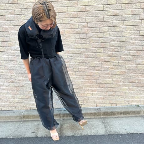 Transparent pant