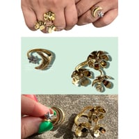 My garden rings