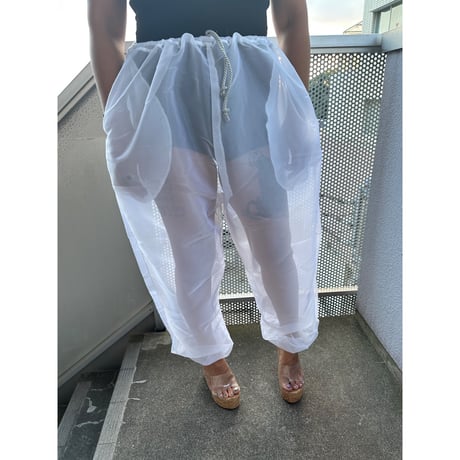 Transparent pant