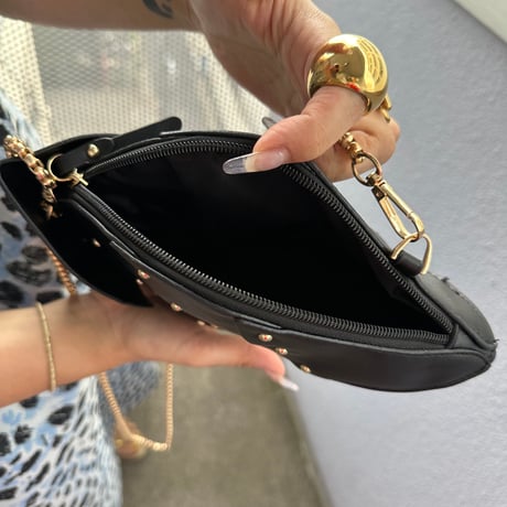 Dinosaur bag