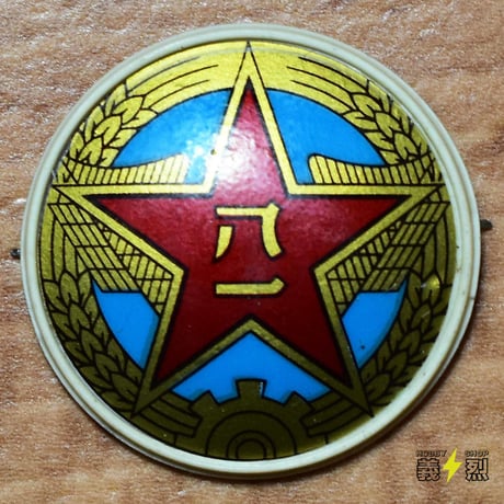 中国人民解放軍87式帽章（プラスチック製）空軍