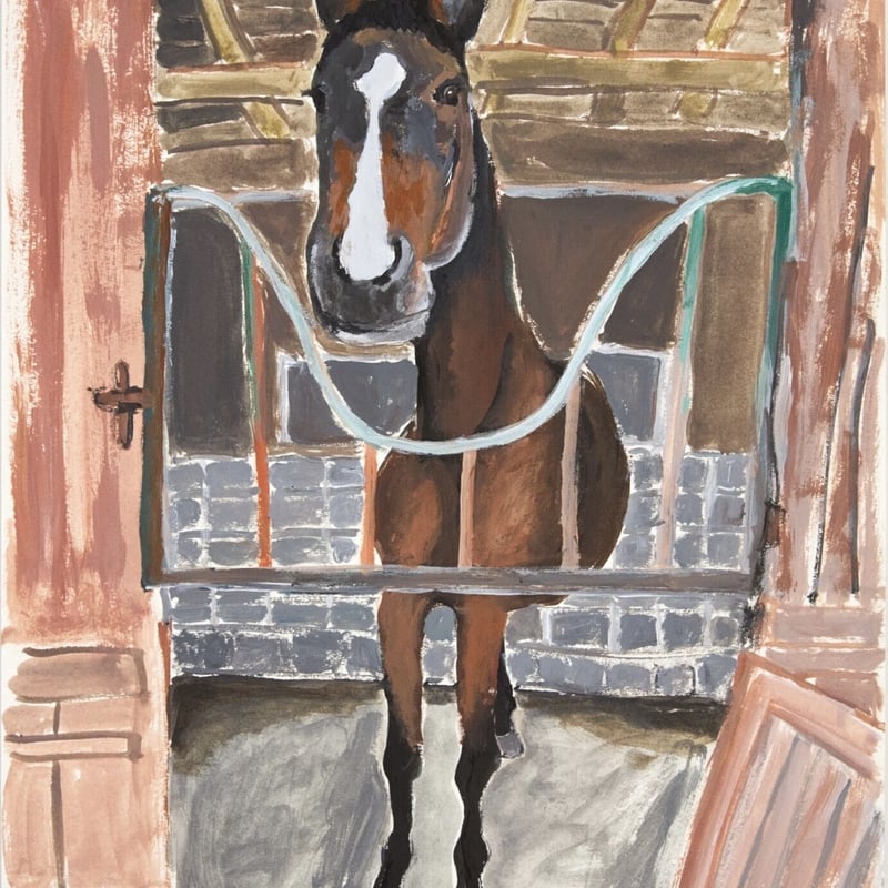 ポストカード(馬と犬4枚セット) | FOCUS STUDIO